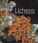 Lichens