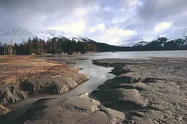 Bird Point, Alaska