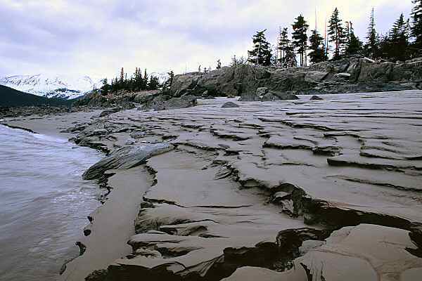 Bird Point, Alaska